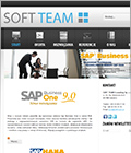 Home  Soft Team Consulting  SAP Business One Partner