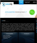 tworzenie stron www , usługi informatyczne łódź, hosting, webiq