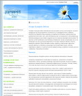 Grupa Synapsis Online - witryna medyczna
