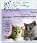 Witamy na rapsodia.net.pl - Hodowla Kotów Brytyjskich