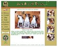 Drapichrust - Hodowla Psów - Jack Russell Terrier