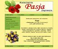 Kwiaciarnia Pasja zaprasza - Bukowno, ul. Dworcowa 1