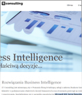 BICONSULTANT business intelligence